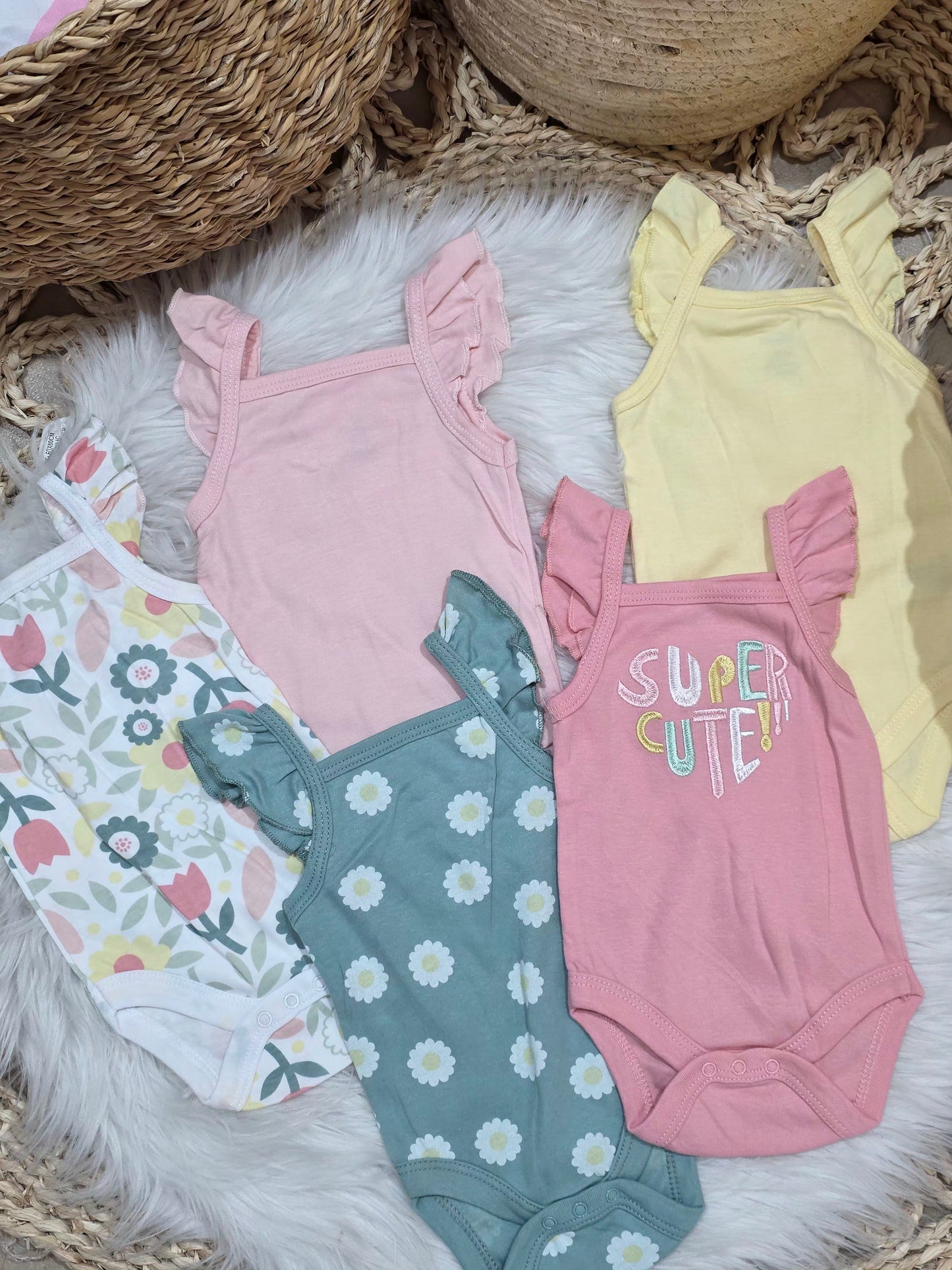 TinyDino-Cute Bodies Set of 5 Pcs
