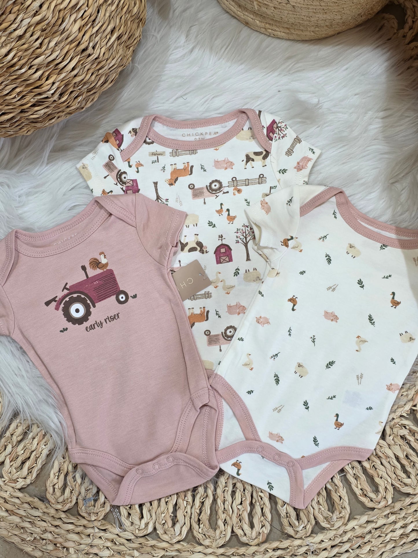 TinyDino-Cotton Bodies Set of 3 Pcs