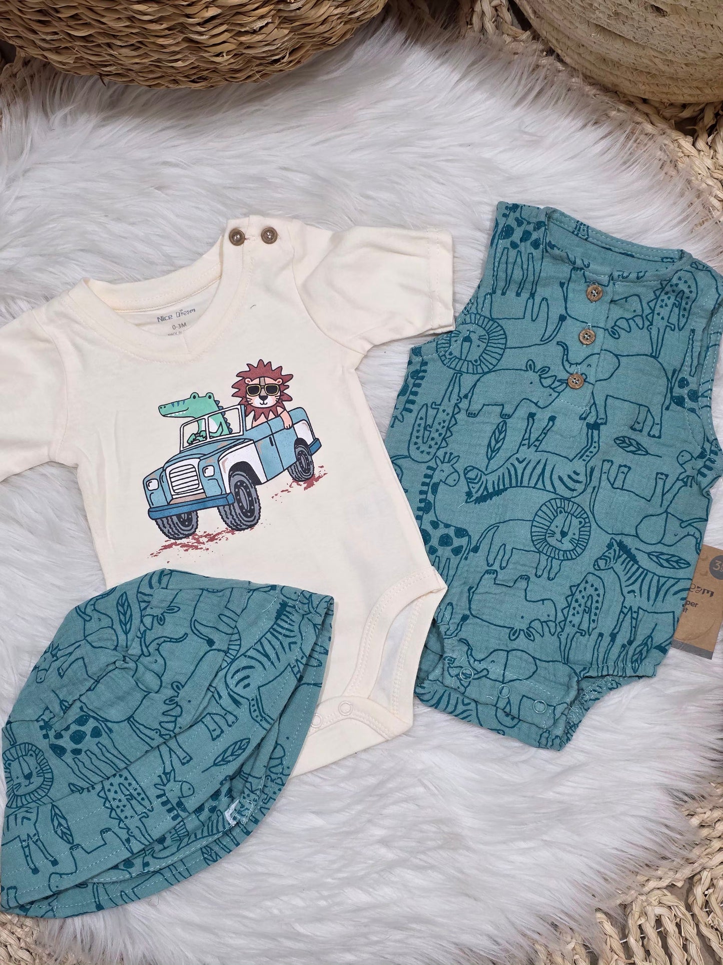 TinyDino-Jungle Set of 3 Pcs