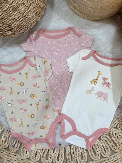 TinyDino-Cotton Bodies Set of 3 Pcs