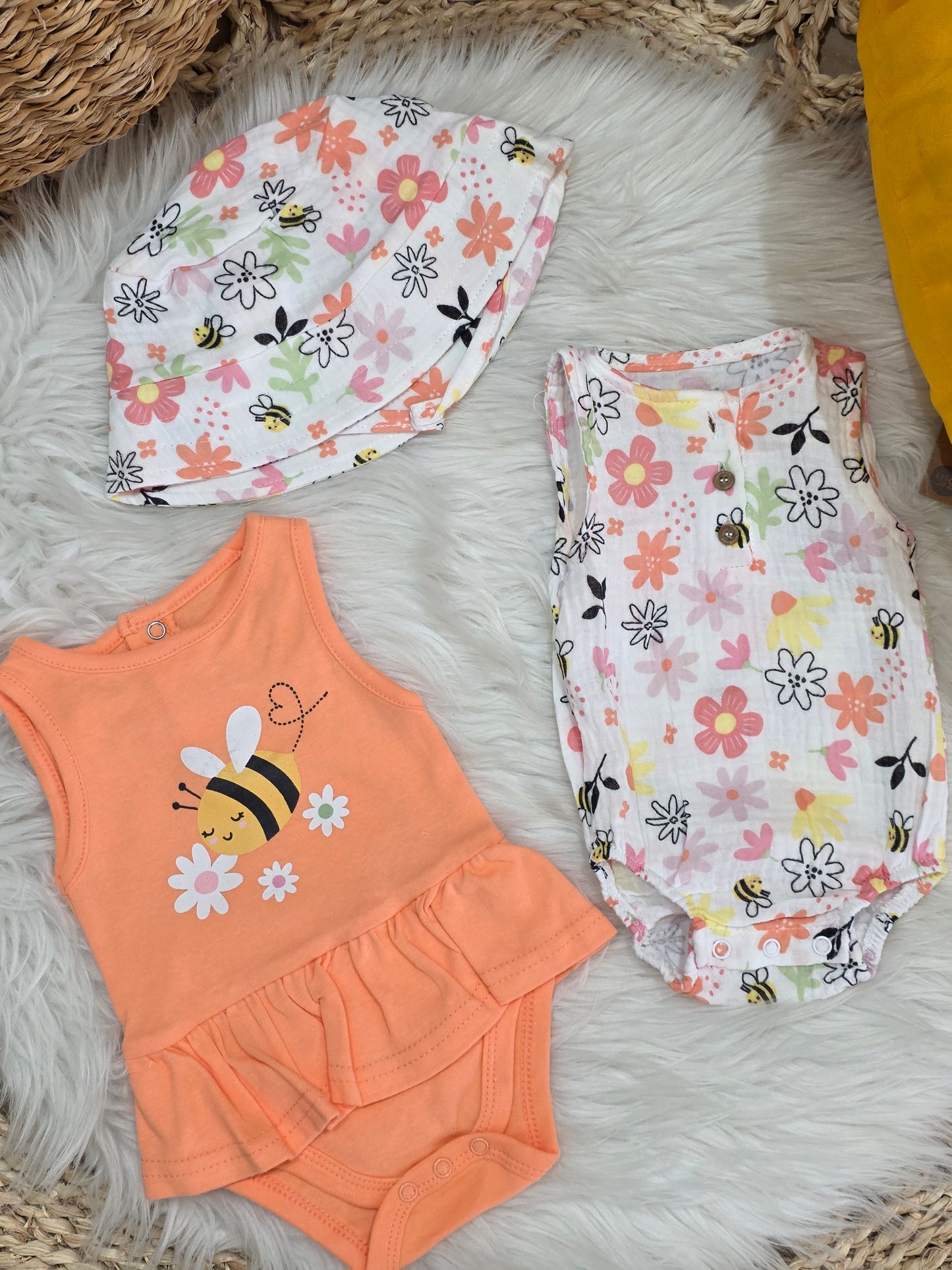 TinyDino-Bee Set of 3 Pcs